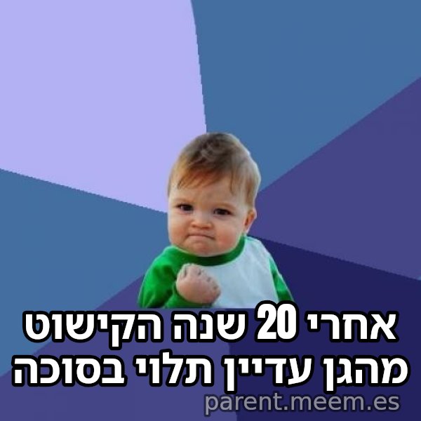הילד המצליח (Success Kid) meme: אחרי 20 שנה הקישוט מהגן עדיין תלוי בסוכה