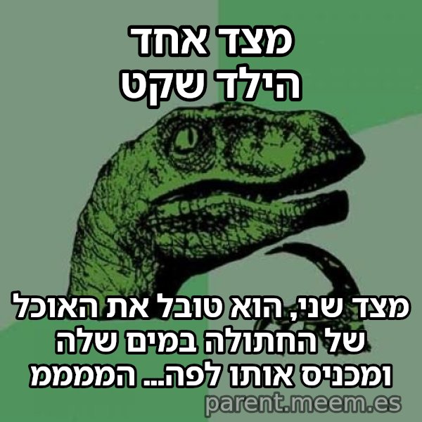 הפילוסורפטור meme: מצד אחד הילד שקט / מצד שני, הוא טובל את האוכל של החתולה במים שלה ומכניס אותו לפה... הממממ