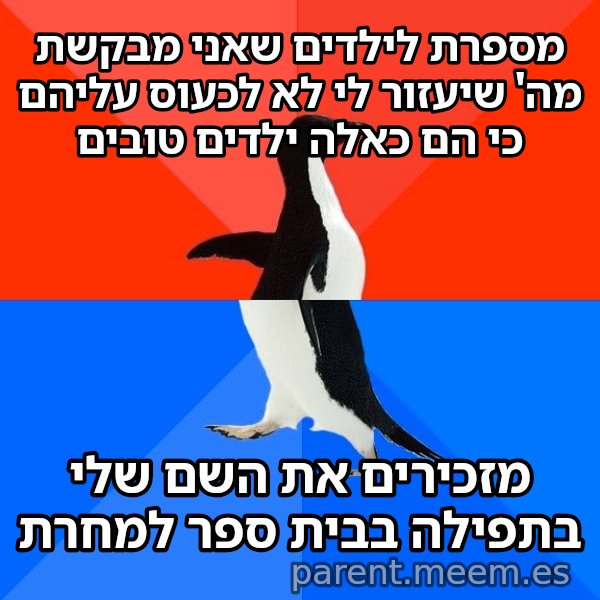הפינגווין המביך meme: מספרת לילדים שאני מבקשת מה' שיעזור לי לא לכעוס עליהם כי הם כאלה ילדים טובים / מזכירים את השם שלי בתפילה בבית ספר למחרת
