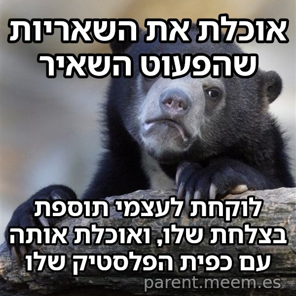 דוב הווידויים meme: אוכלת את השאריות שהפעוט השאיר / לוקחת לעצמי תוספת בצלחת שלו, ואוכלת אותה עם כפית הפלסטיק שלו