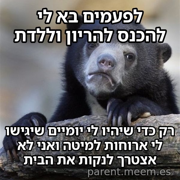 דוב הווידויים meme: לפעמים בא לי להכנס להריון וללדת / רק כדי שיהיו לי יומיים שיגישו לי ארוחות למיטה ואני לא אצטרך לנקות את הבית