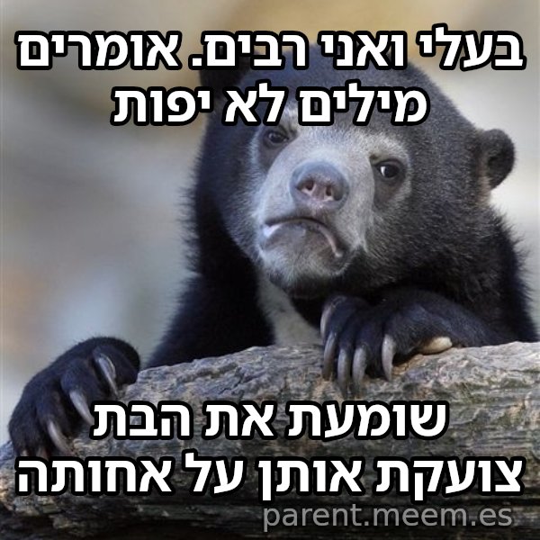 דוב הווידויים meme: בעלי ואני רבים. אומרים מילים לא יפות / שומעת את הבת צועקת אותן על אחותה