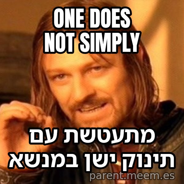 בורומיר - אי אפשר פשוט meme: One does not simply / מתעטשת עם תינוק ישן במנשא