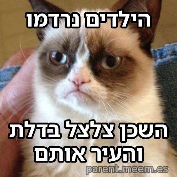 החתולה הזועפת meme: הילדים נרדמו / השכן צלצל בדלת והעיר אותם
