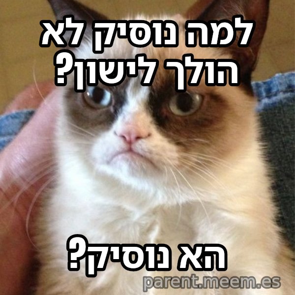 החתולה הזועפת meme: למה נוסיק לא הולך לישון? / הא נוסיק?