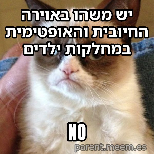 החתולה הזועפת meme: יש משהו באוירה החיובית והאופטימית במחלקות ילדים / NO