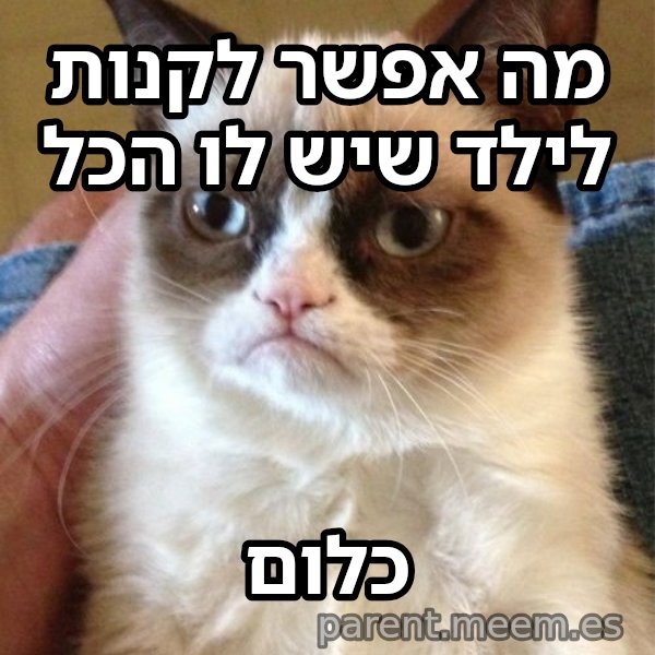 החתולה הזועפת meme: מה אפשר לקנות לילד שיש לו הכל / כלום