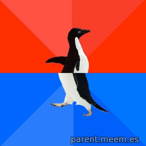 הפינגווין המביך meme template